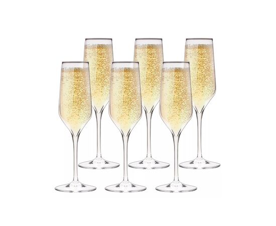 Champagne glass Electra 310209