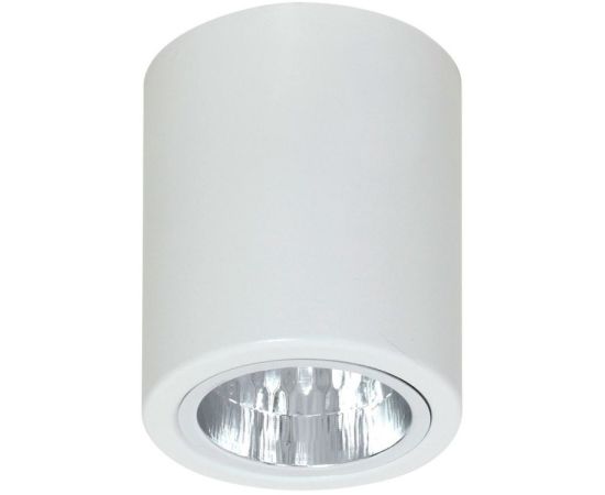 Светильник точечный Luminex Downlight round 7236 D11 1xE27 60W белый