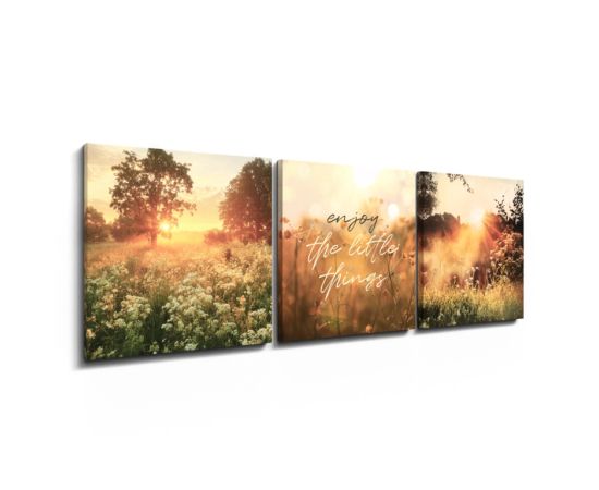 Painting on the canvas Styler ST767 SUMMERY 32x32 cm 3pcs