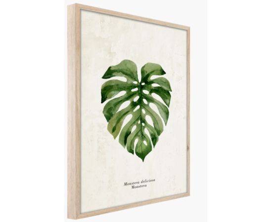 Picture in frame Styler Monstera FP037 50x70 cm