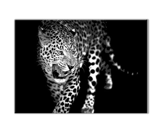 Glass picture Styler Leopard GL106 70X100 cm