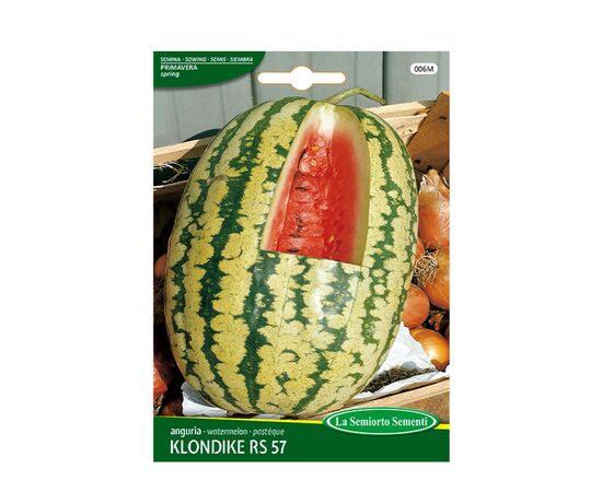 საზამთროს თესლი La Semiorto Watermelon KLONDIKE RS 57 006-MAXIOr