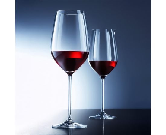 A glass of red wine Schott Zwiesel FORTISSIMO 27.1 cm 650 ml 65299