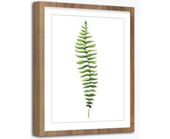 Picture in frame Styler Wooden Fern FR278 30X40 cm