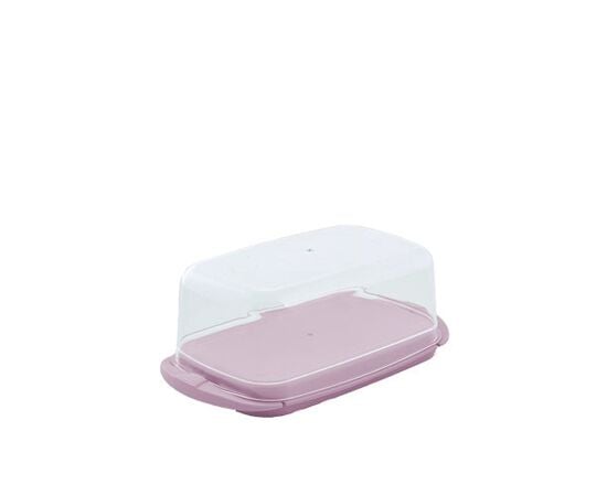 Butter dish Aleana LLC Purple