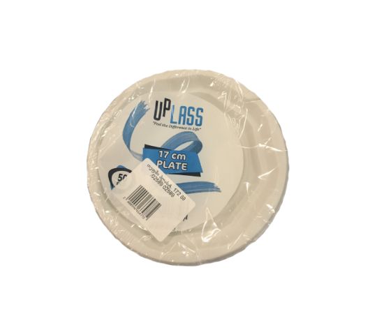 Plastic plate 172 mm 50 pcs 02589