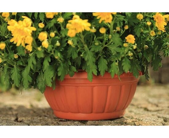 Plastic flower pot FORM PLASTIC Misa VERONA 0413-010 Ø38 terracotta