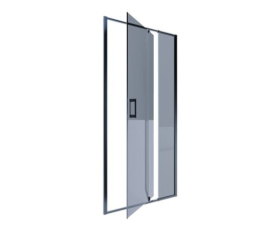 Shower door Alex Baitler AB74B100 100×200 cm darkened