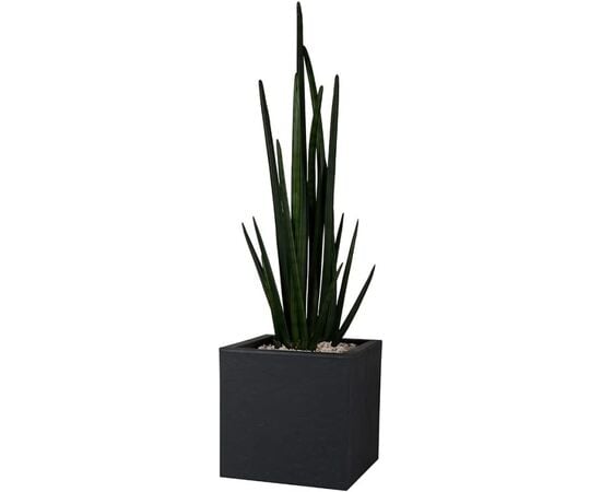 Plastic pot  EDA Plastiques CARRE VOLCANIA'UP 29,5 X 29,5 X 29,5 cm 21 l