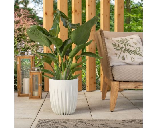 Flower pot MIRA ECO 250 6,5l white