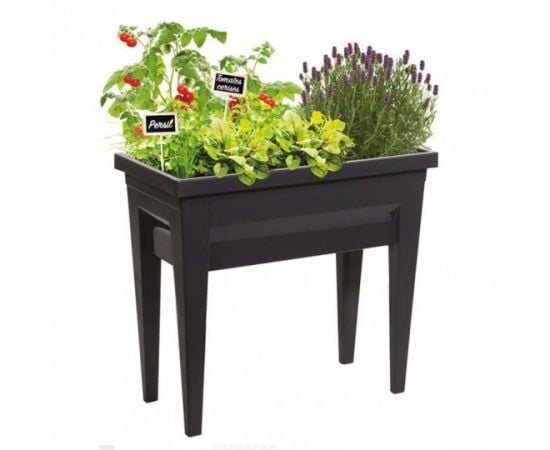 Plastic pot EDA Plastiques VEG&TABLE CITY 76 X 38,5 X 68cm 57L