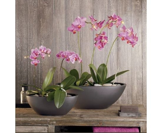 Ceramic pot for orchids Scheurich 430/30 ANTHRAZIT