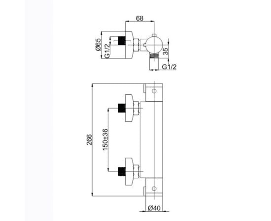 Bathroom mixer RUBINETA Thermo-12 (H20008)