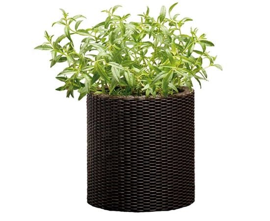 Plastic pot for flowers Keter Cylinder Planter S 7 l