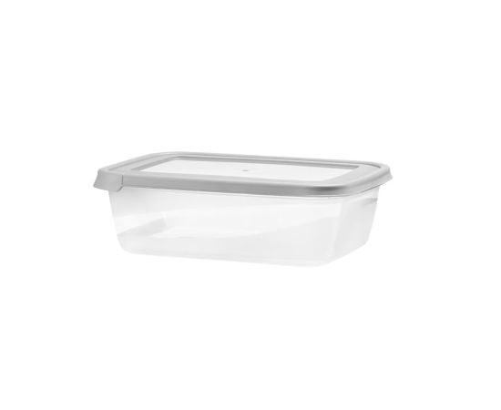 Storage container with lid Domotti ALBERT 43217 2000ml gray