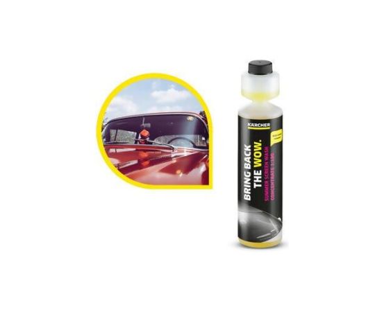 Glass cleaning concentrate KARCHER RM 672.