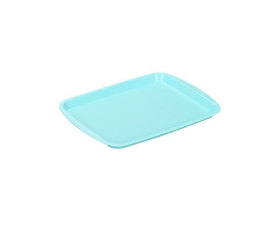 Tray PLAST ART HOME DESIGN TP-165 44×31 cm