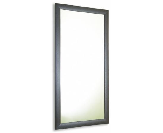 Mirror Silver Mirrors Venge 410х610 mm