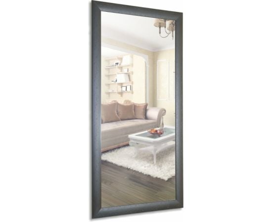 Mirror Silver Mirrors Venge 410х610 mm