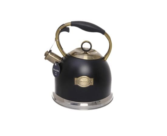 Metal teapot MG-1768 3l