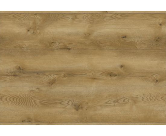 Laminate Classen Evolution 63126 oak Covelo 1285x280x8 mm AC5/32