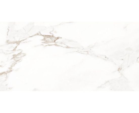 Porcelain tile Tau Ceramica Invictus White 600x1200 mm