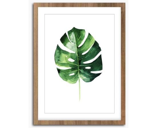 სურათი ჩარჩოში Styler Wooden Monstera FR279 30X40 სმ