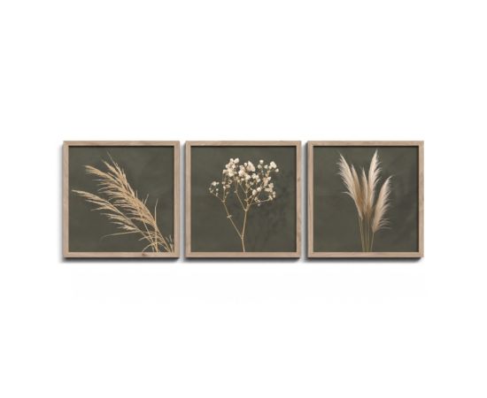 Painting Styler FR391 Pampas 30x30 cm 3pcs