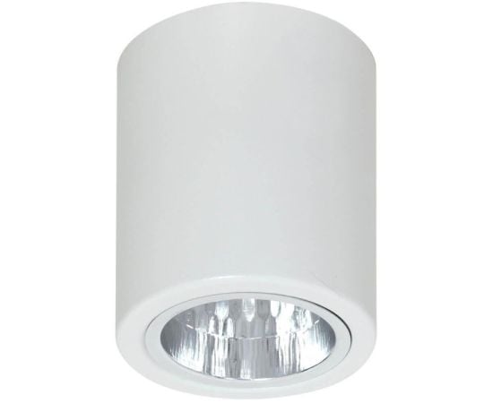 სანათი წერტილოვანი Luminex Downlight round 7234 D9 E27 60W თეთრი