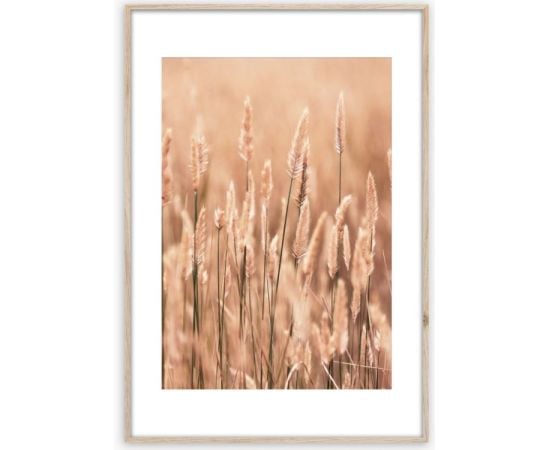 Picture in frame Styler Grasses II AB079 50X70 cm