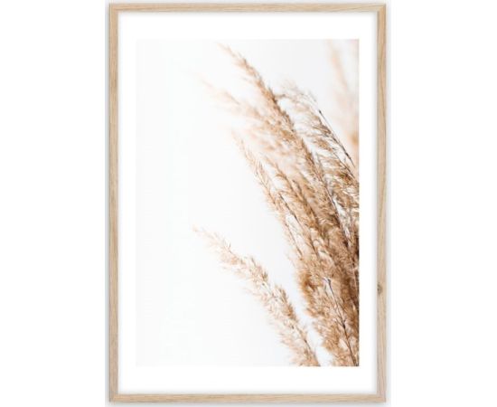 Picture in frame Styler Beige II FP070 50X70 cm