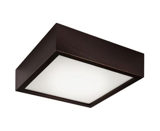 Ceiling lighting Lamkur 32696 E27 1x MAX 60W