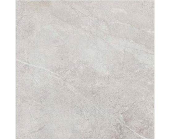 Porcelain tile Allore Group Perfecto Silver 470x470 mm