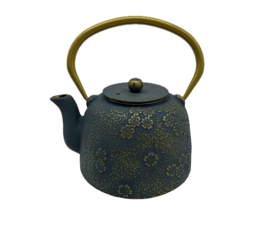 Teapot cast iron MG-1938