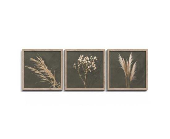 Painting Styler FR391 Pampas 30x30 cm 3pcs