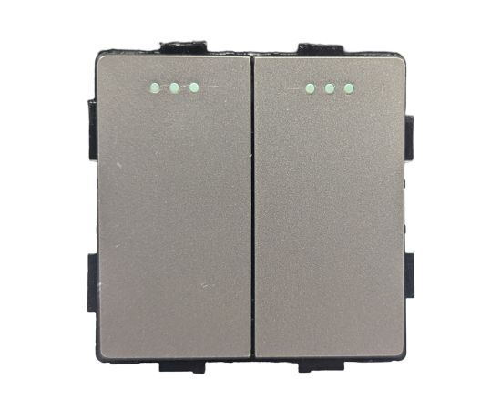 Switch Socket Style 2 2G-2W gray